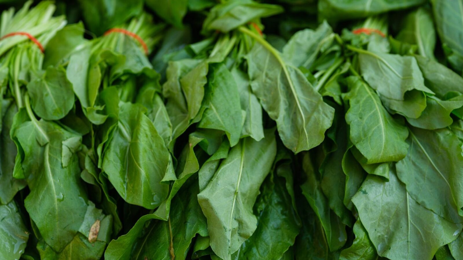 Продукты с железом: печень, бобовые, семена и зелень