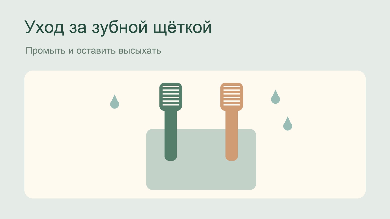 Две зубные щётки в держателе после ополаскивания