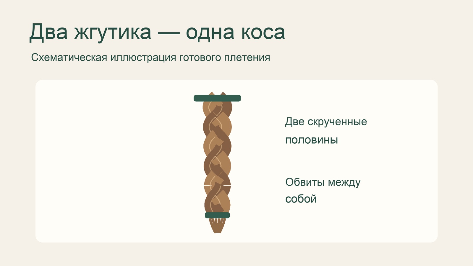 Схема косы-жгута из двух прядей, закреплённой двумя резинками.