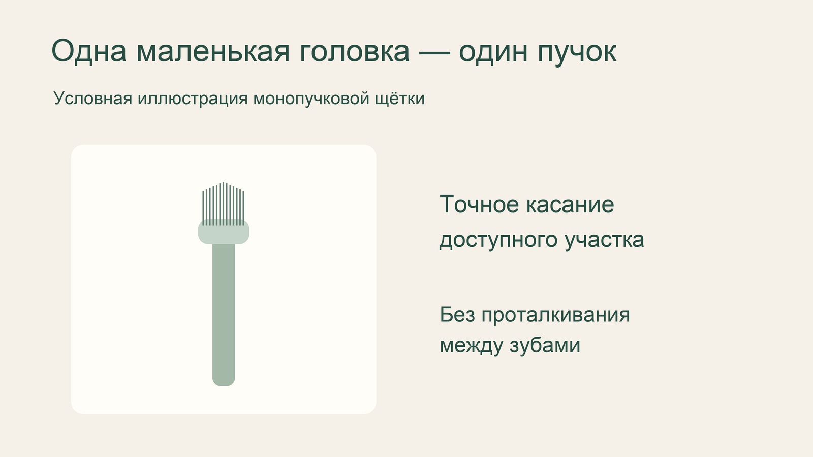 Схематичное изображение монопучковой зубной щётки.
