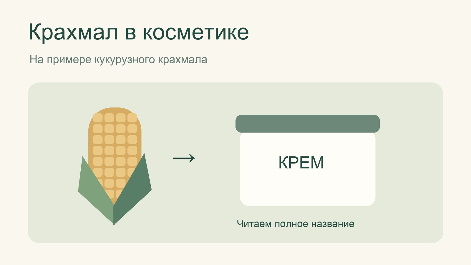 Кукуруза и баночка крема: пример крахмала в косметике